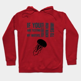 Don't Test Me! Hoodie